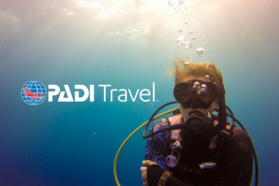 padi tour and travel