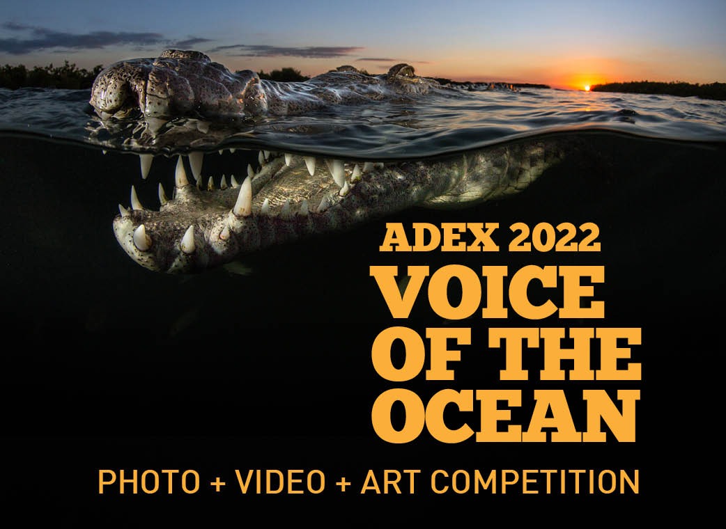 ANNOUNCEMENT Of Official Dive Destination Partner for the Voice of the